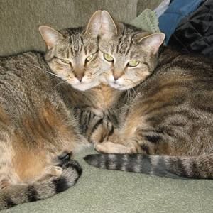 Meet your Posher, Leslie